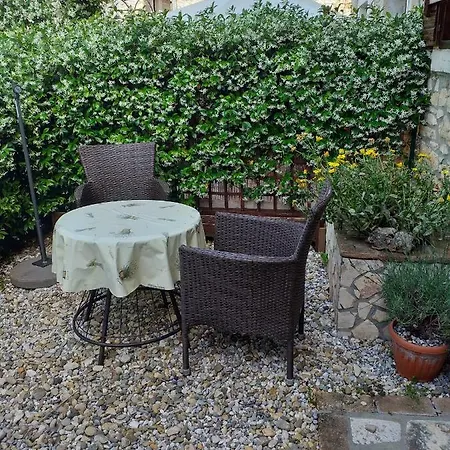 Rade Stancijeta Novigrad Istria