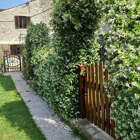 Rade Stancijeta شقة Novigrad Istria