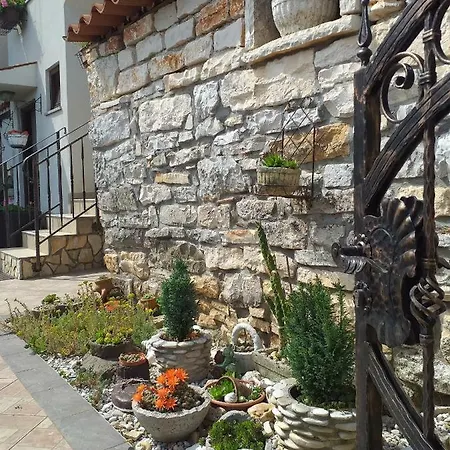 Rade Stancijeta Novigrad (Istria)